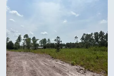 22563 NW Lake McKenzie Boulevard, Altha, FL 32421 - Photo 12