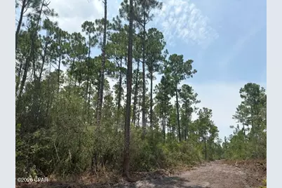 22563 NW Lake McKenzie Boulevard, Altha, FL 32421 - Photo 8