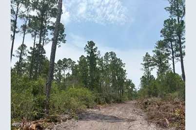 22563 NW Lake McKenzie Boulevard, Altha, FL 32421 - Photo 6