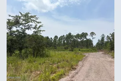 22563 NW Lake McKenzie Boulevard, Altha, FL 32421 - Photo 4