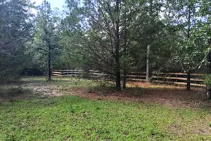 568 Onida St, Alford, FL 32420 - Photo 10