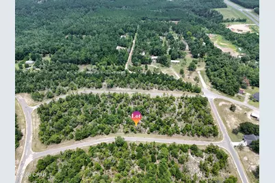 Lot 15 Otis Lane, Chipley, FL 32428 - Photo 4