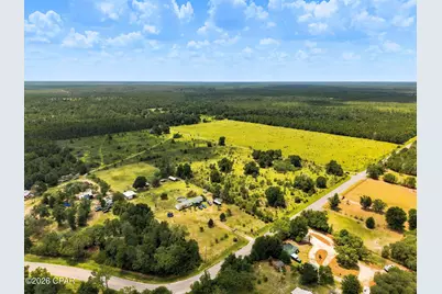 20905 NW Henson Road, Altha, FL 32421 - Photo 8