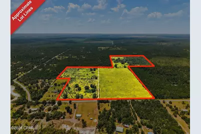 20905 NW Henson Road, Altha, FL 32421 - Photo 2