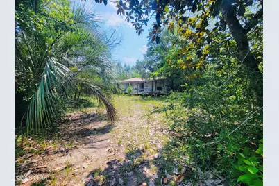 7157 NW Porter Grade Road, Altha, FL 32421 - Photo 1