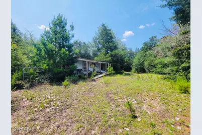 7157 NW Porter Grade Road, Altha, FL 32421 - Photo 2