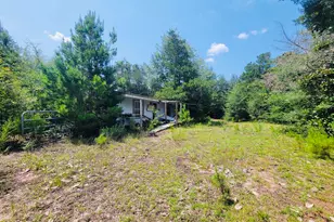 7157 NW Porter Grade Rd, Altha, FL 32421 - Photo 2