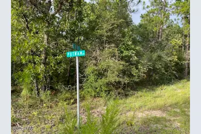 Lot 5 Putnam Avenue, Alford, FL 32420 - Photo 4