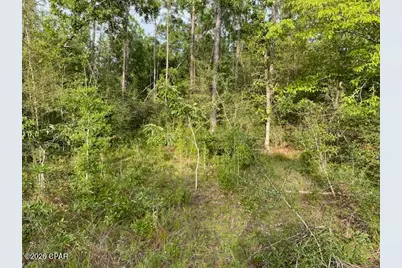 Lot 5 Putnam Avenue, Alford, FL 32420 - Photo 2