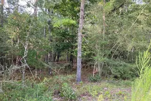 Lot 5 Putnam Ave, Alford, FL 32420 - Photo 1