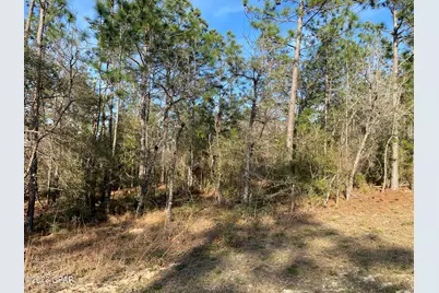 0 Largo Street, Alford, FL 32420 - Photo 2