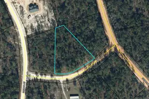 0 Largo St, Alford, FL 32420 - Photo 1