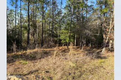 0 Largo Street, Alford, FL 32420 - Photo 4