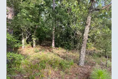 0 Largo Street, Alford, FL 32420 - Photo 6