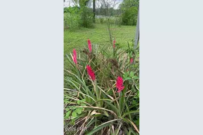 4854 Highway 231, Campbellton, FL 32426 - Photo 52