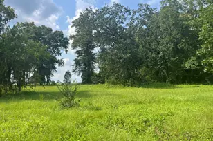 4854 Hwy 231, Campbellton, FL 32426 - Photo 28