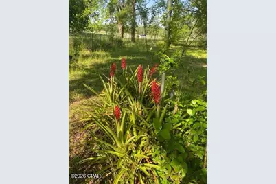 4854 Highway 231, Campbellton, FL 32426 - Photo 36