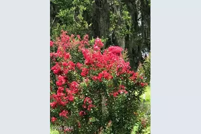 4854 Highway 231, Campbellton, FL 32426 - Photo 50