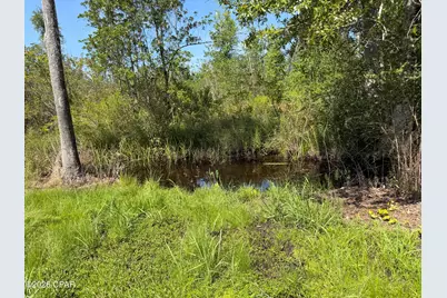 379 Lakepoint Road, Alford, FL 32420 - Photo 46
