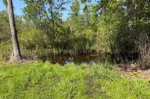 379 Lakepoint Rd, Alford, FL 32420 - Photo 46