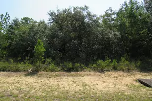 Tbd Cambridge Dr, Chipley, FL 32428 - Photo 1
