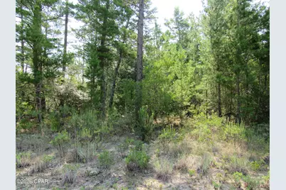 Tbd Pinehurst Avenue, Chipley, FL 32428 - Photo 2