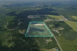 13137 Sr 73, Clarksville, FL 32430 - Photo 50