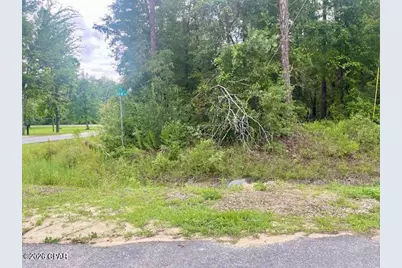 0 View Drive, Alford, FL 32420 - Photo 4