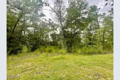 0 View Drive, Alford, FL 32420 - Photo 2