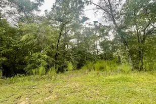 0 View Dr, Alford, FL 32420 - Photo 1