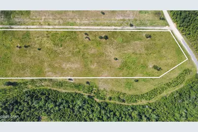 0 Bailey Cemetery Road, Altha, FL 32421 - Photo 8