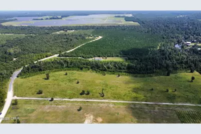 0 Bailey Cemetery Road, Altha, FL 32421 - Photo 12