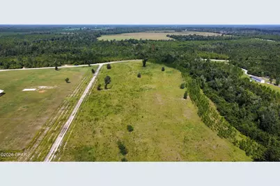 0 Bailey Cemetery Road, Altha, FL 32421 - Photo 6
