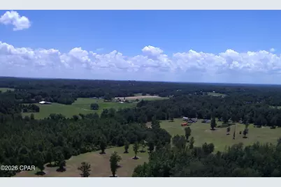 Tbd Highway 90, Grand Ridge, FL 32442 - Photo 30
