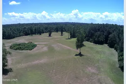 Tbd Highway 90, Grand Ridge, FL 32442 - Photo 34