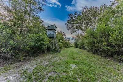 Tbd Highway 90, Grand Ridge, FL 32442 - Photo 24
