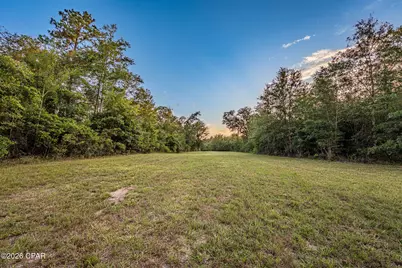 Tbd Highway 90, Grand Ridge, FL 32442 - Photo 20