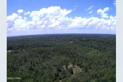 Tbd Highway 90, Grand Ridge, FL 32442 - Photo 40