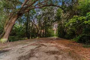 Tbd Hwy 90, Grand Ridge, FL 32442 - Photo 1