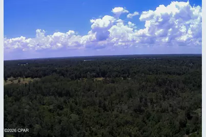 Tbd Highway 90, Grand Ridge, FL 32442 - Photo 36