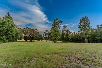 Tbd Highway 90, Grand Ridge, FL 32442 - Photo 12