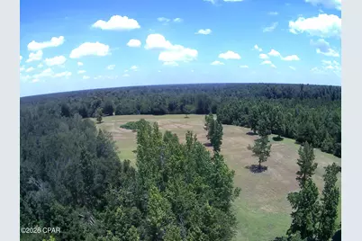 Tbd Highway 90, Grand Ridge, FL 32442 - Photo 28