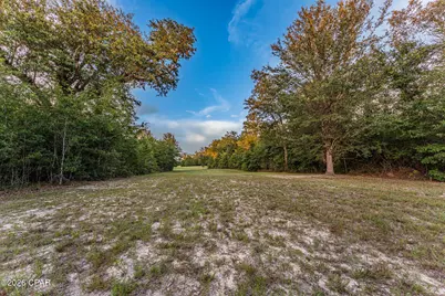 Tbd Highway 90, Grand Ridge, FL 32442 - Photo 22