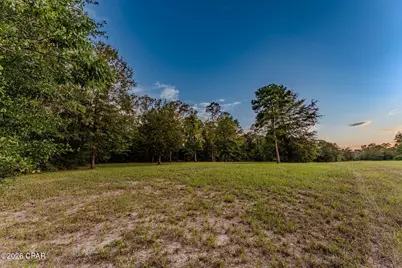 Tbd Highway 90, Grand Ridge, FL 32442 - Photo 18