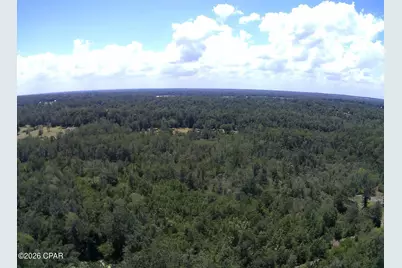 Tbd Highway 90, Grand Ridge, FL 32442 - Photo 38