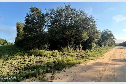 Lot 16 Osceola Drive, Marianna, FL 32448 - Photo 2