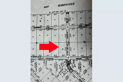 Lot 16 Osceola Drive, Marianna, FL 32448 - Photo 4