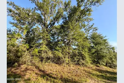 Lot 26 Grove Lane, Marianna, FL 32448 - Photo 1