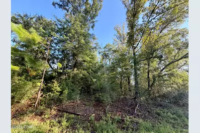 Lot 26 Grove Lane, Marianna, FL 32448 - Photo 2