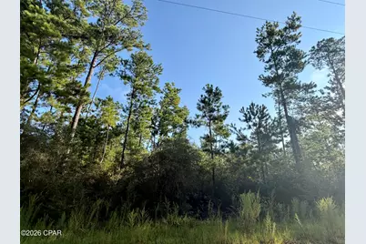 Lot 4 Black Hills Street, Alford, FL 32420 - Photo 1